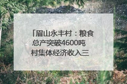 眉山永丰村：粮食总产突破4600吨 村集体经济收入三年倍增｜牵挂的村